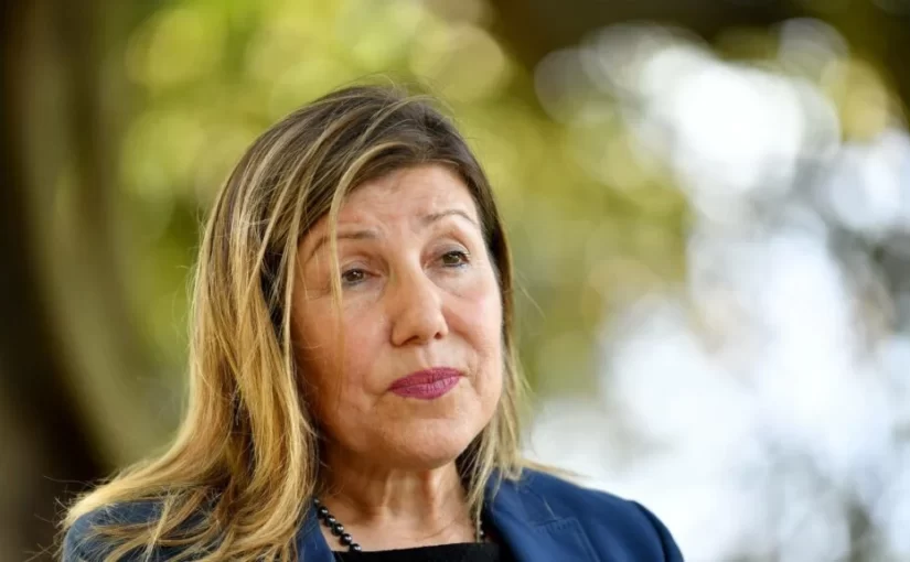Sophie Cotsis reveals NSW government’s intention to ban silica engineered stone if national agreement is not met